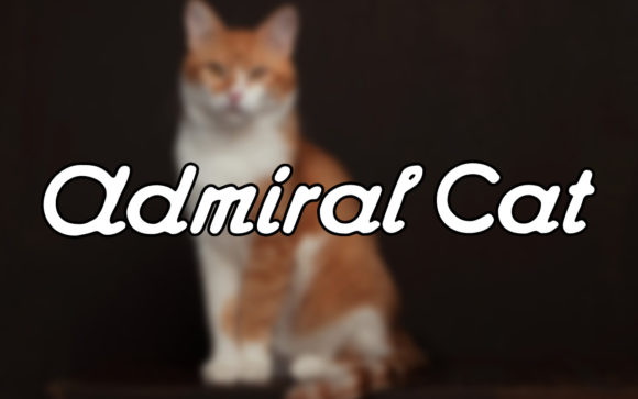 Admiral Cat: A Vintage Font for Creative Marketing