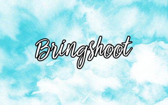 Bringshoot: A Creative Font for Business