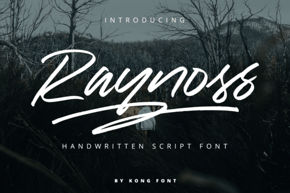 Raynoss: A Playful Handwritten Font for Web Design